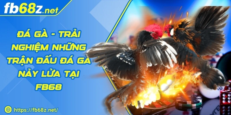 fb68-da-ga-trai-nghiem-tran-dau-nay-lua